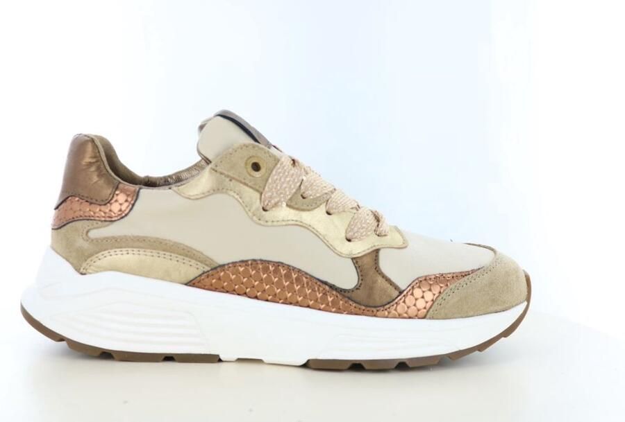 Xsensible Stretchwalker Sneaker Rainbow 33011.3.304 GX Camel Combi