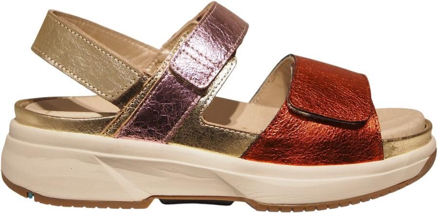 XSENSIBLE Sandalen met Hak Dames Aruba Maat: 43 Materiaal: Leer