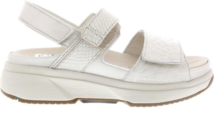 XSENSIBLE Sandalen met Hak Dames Aruba Maat: 41 Materiaal: Leer Kleur: Beige - Foto 2