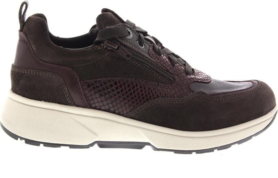 XSENSIBLE Lage Sneakers Dames Grenoble Suède Bruin - Foto 3