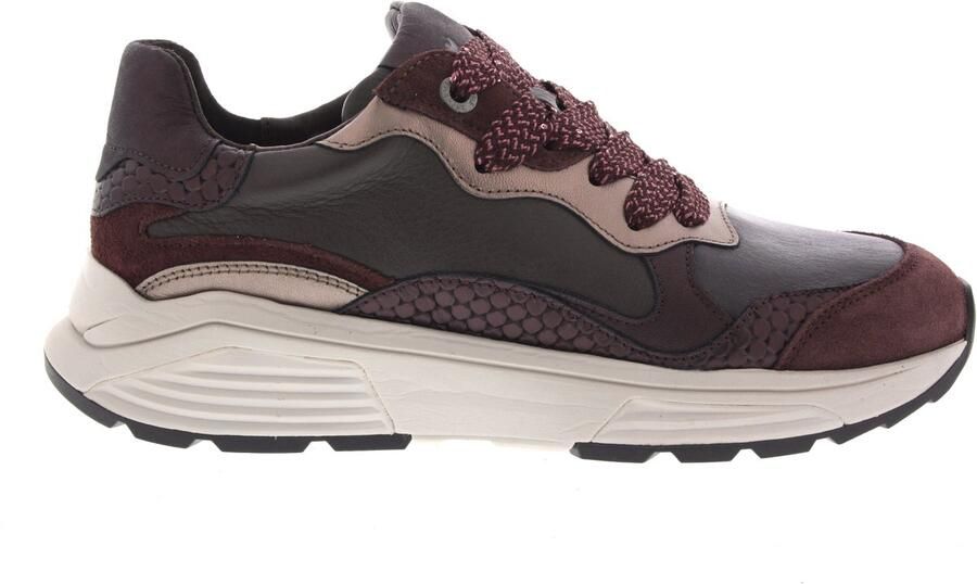 XSENSIBLE Lage Sneakers Dames Rainbow Suède Bruin - Foto 2