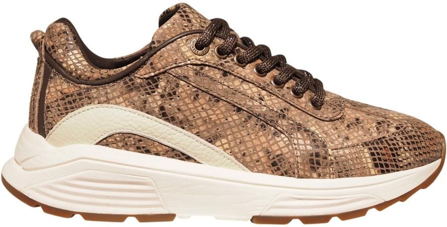 Xsensible Stretchwalker Bailey 33013.4 383 dark brown f multi bruin
