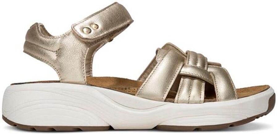 Xsensible Magnolia gold 30804.5.911 GOLD