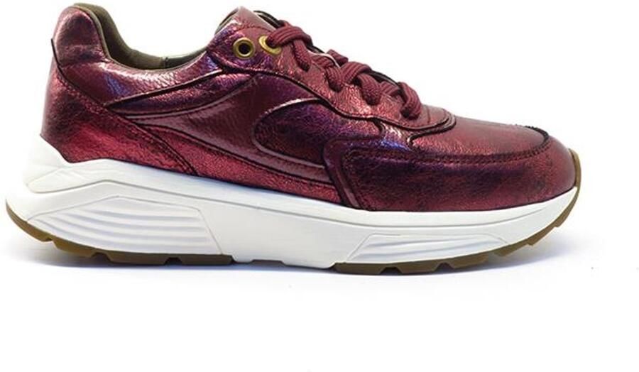 Xsensible Ponte vecchio Bordeaux 33002.4.730 BORDO