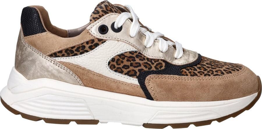 Xsensible Ponte Vecchio Stretchwalker Sneakers Dames Bruin