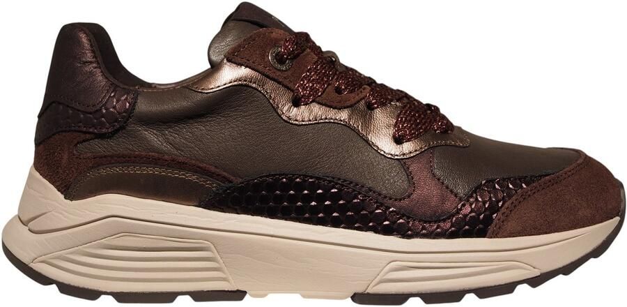 XSENSIBLE Lage sneakers Dames Rainbow Maat: 37 Materiaal: Suède Kleur: Bruin