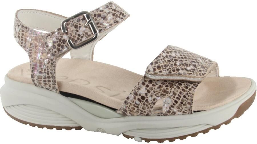 Xsensible 30312.5.428-H dames sandalen sportief beige