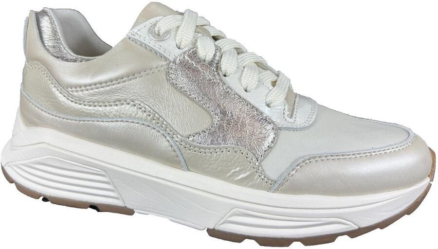 Xsensible SNEAKER GOLDEN gate
