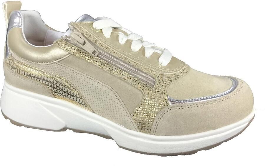 Xsensible SNEAKER VALETTA sand