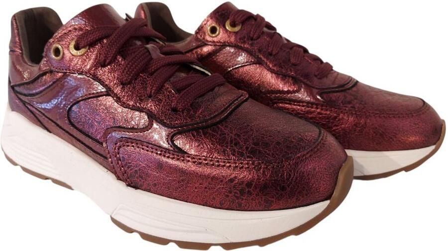Xsensible Stretchwalker Sneaker Ponte Vecchio 33002.4.730 G Bordeaux