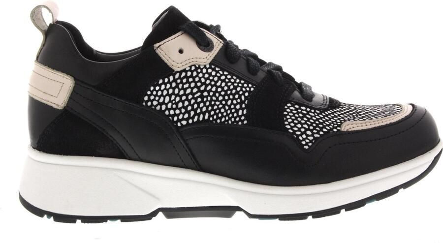 Xsensible Vrouwen Leren Lage sneakers Damesschoenen 30206.2 Zwart