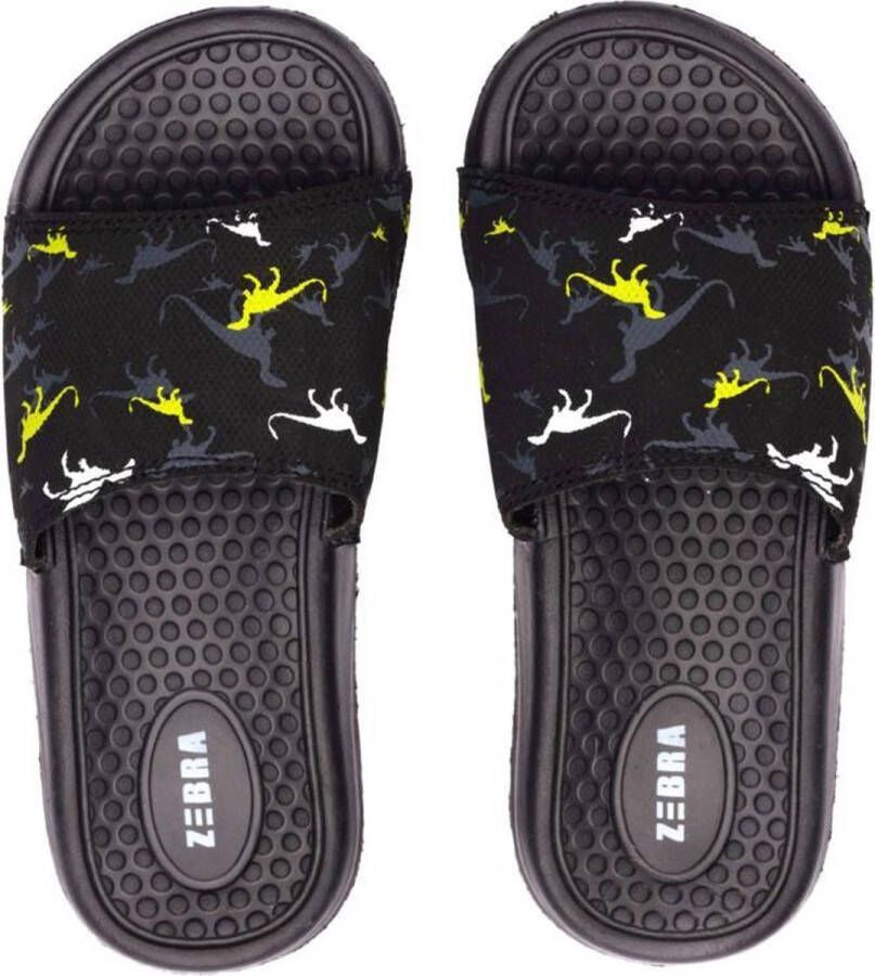 Zebra slipper Boys Dino