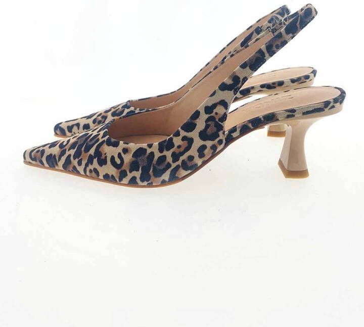 Zinda 2748 slingback pump bruin combi