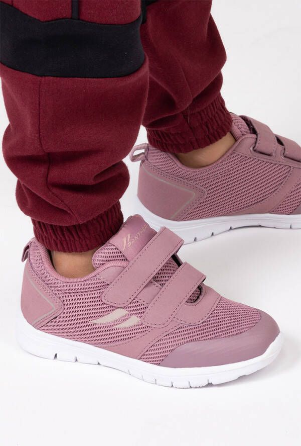Bristol adidas dames schoenen deals