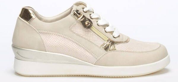 Ladyflex bristol new arrivals