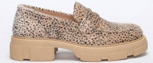 Coco Bella Schoenen Animal