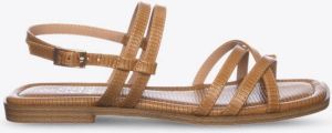Coco Bella Schoenen Camel