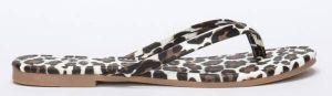 Coco Bella Schoenen Leopard