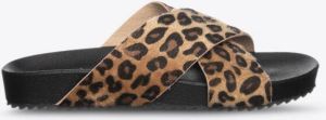 Coco Bella Schoenen Leopard