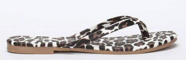 Coco Bella Schoenen Leopard