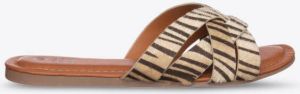 Coco Bella Schoenen Zebra