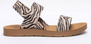 Linea Loresi Schoenen Zebra