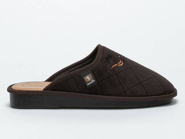 Sanycom Schoenen Bruin