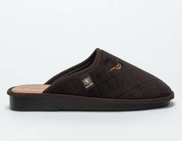 Sanycom Schoenen Bruin