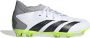 Adidas Predator Accuracy.3 Gras Voetbalschoenen (FG) Kids Wit Grijs Felgeel Zwart - Thumbnail 2