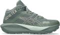 ASICS GEL TRABUCO MT GTX Trail hardloopschoen GTX - Groen
