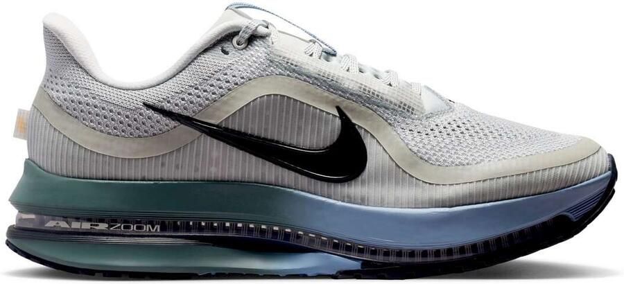 Nike Pegasus Sneakers Heren Grijs Mesh Synthetisch