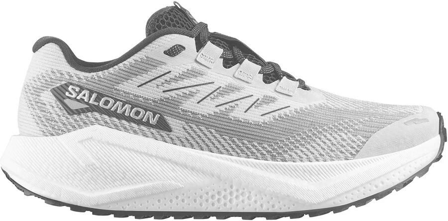 Salomon Aero Blaze 3 GRVL Hardloopschoen Grijs