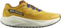 Salomon Aero Blaze 3 GRVL Heren - Geel