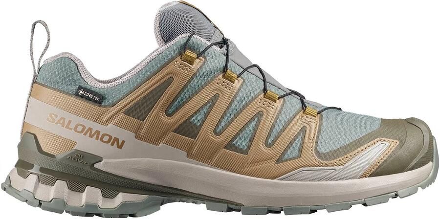 Salomon Heren Xa Pro 3D V9 GTX Schoenen