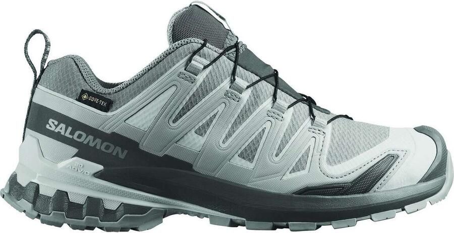 Salomon XA Pro 3D V9 Gore-Tex Trailschoen Dames Grijs