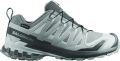 Salomon XA Pro 3D V9 Gore-Tex Trailschoen Dames Grijs - Grijs