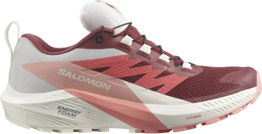 Salomon Sense Ride 5 GTX Dames