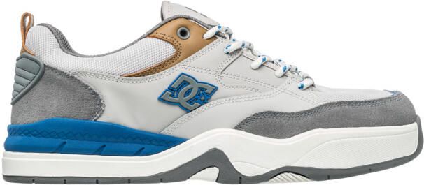 DC Shoes DC Ascend Heren Grijs Leren schoenen