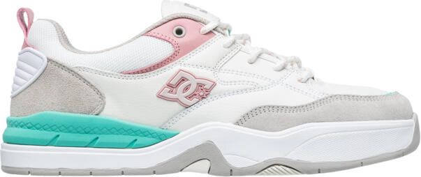 DC Shoes DC Ascend Heren Wit Leren schoenen