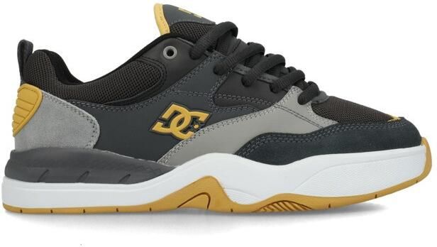 DC Shoes DC Ascend S Heren Grijs Leren Skateschoenen