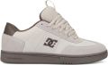DC Shoes DC Astrix S Heren Grijs Skateschoenen - Grijs