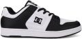 DC Shoes Skateschoenen Manteca 4 - Wit