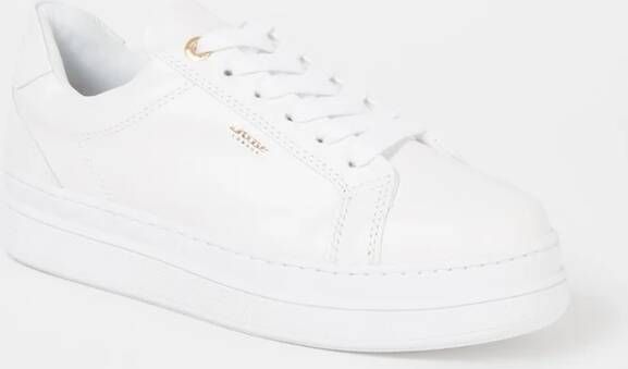 Dune London Eastern sneaker van leer