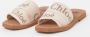 Chloé Sandalen met dubbele stoffen band en logo Brown Dames - Thumbnail 15