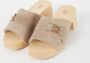 SCHOLL Muiltjes Dames Pescura Sarah Maat: 38 Materiaal: Suède Kleur: Taupe - Thumbnail 13