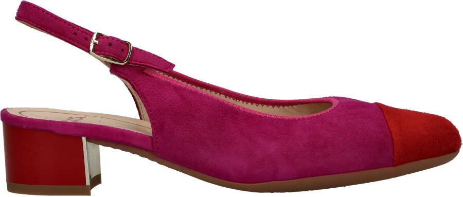 Ara Nizza Pumps Dames Roze