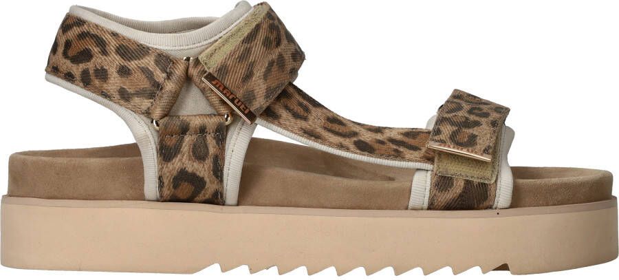 Maruti Beau Sandalen Dames Bruin