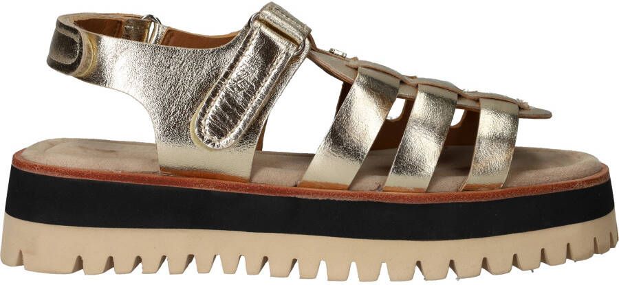 Maruti Logan Sandalen Goud