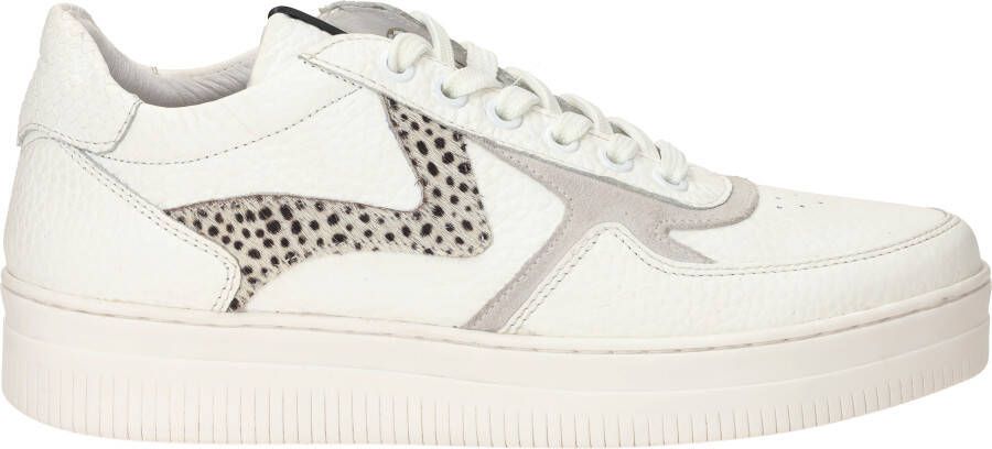 Maruti Momo Leather Sneaker casual White Pixel Offwhi - Foto 8