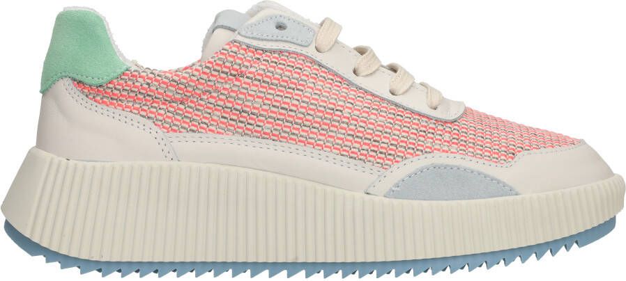 Palpa Sneakers Dames Multi